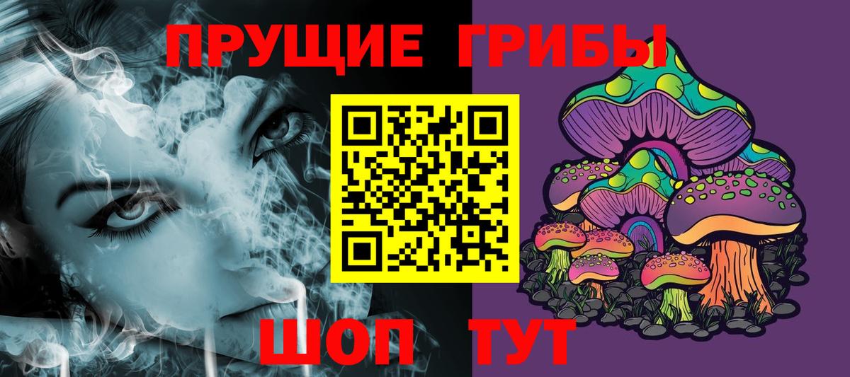 Галлюциногенные грибы Psilocybe  купить наркотики сайты  Богородицк  Вход с VPN 