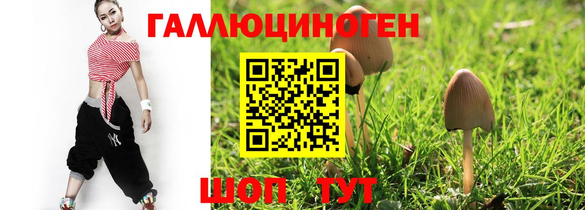 Галлюциногенные грибы Cubensis Богородицк